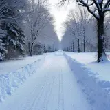 Hydronic Heated Driveways